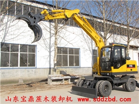 山東寶鼎蔗木裝卸機