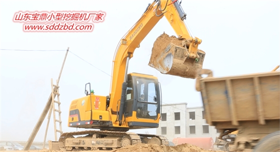 寶鼎小型挖掘機(jī).png