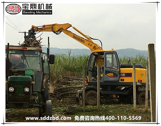廣西廣東寶鼎抓木機圖片