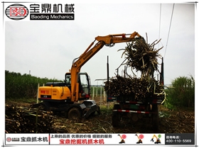 寶鼎抓木機廣西抓裝甘蔗作業圖片