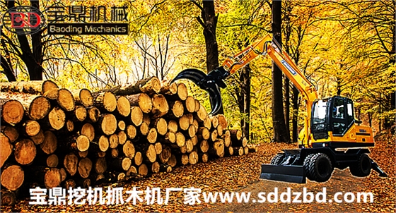 寶鼎抓木機(jī)廠家抓木機(jī)價(jià)格合理熱銷各地市場(chǎng)