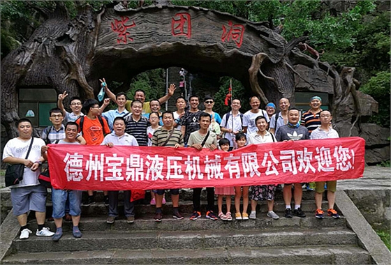 寶鼎挖掘機抓木機廠家