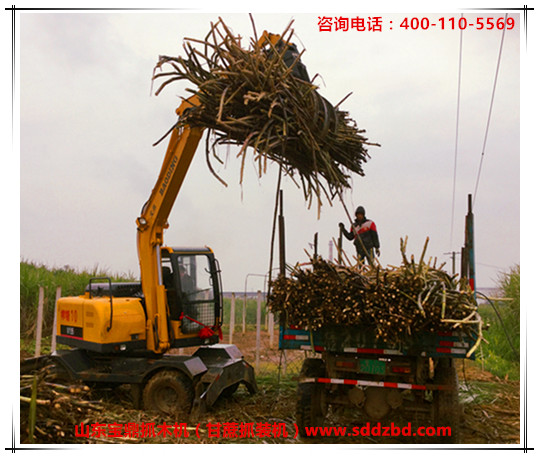 山東寶鼎抓木機（甘蔗抓裝機）產品