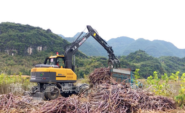 輪式抓木機(jī)抓甘蔗裝車(chē).jpg