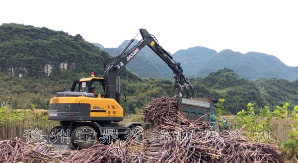 寶鼎抓木機.jpg