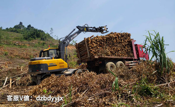 寶鼎抓木機廣東作業現場.jpg