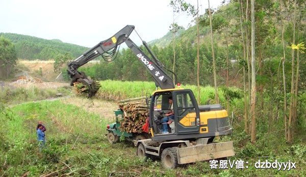 廣西市場下的寶鼎抓木機.jpg