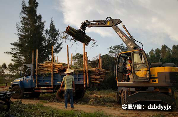 寶鼎抓木機廣西市場作業.jpg