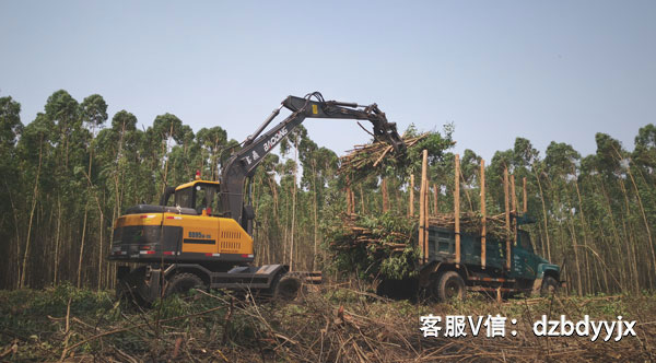 寶鼎輪式挖掘機(jī)抓木機(jī).jpg