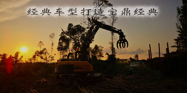 寶鼎挖掘機抓木機.jpg
