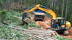 寶鼎小型挖掘機(jī)廠家一機(jī)多用履帶挖掘機(jī)車型打造核心競(jìng)爭(zhēng)力  國(guó)內(nèi)挖掘機(jī)械市場(chǎng)不乏競(jìng)爭(zhēng)力